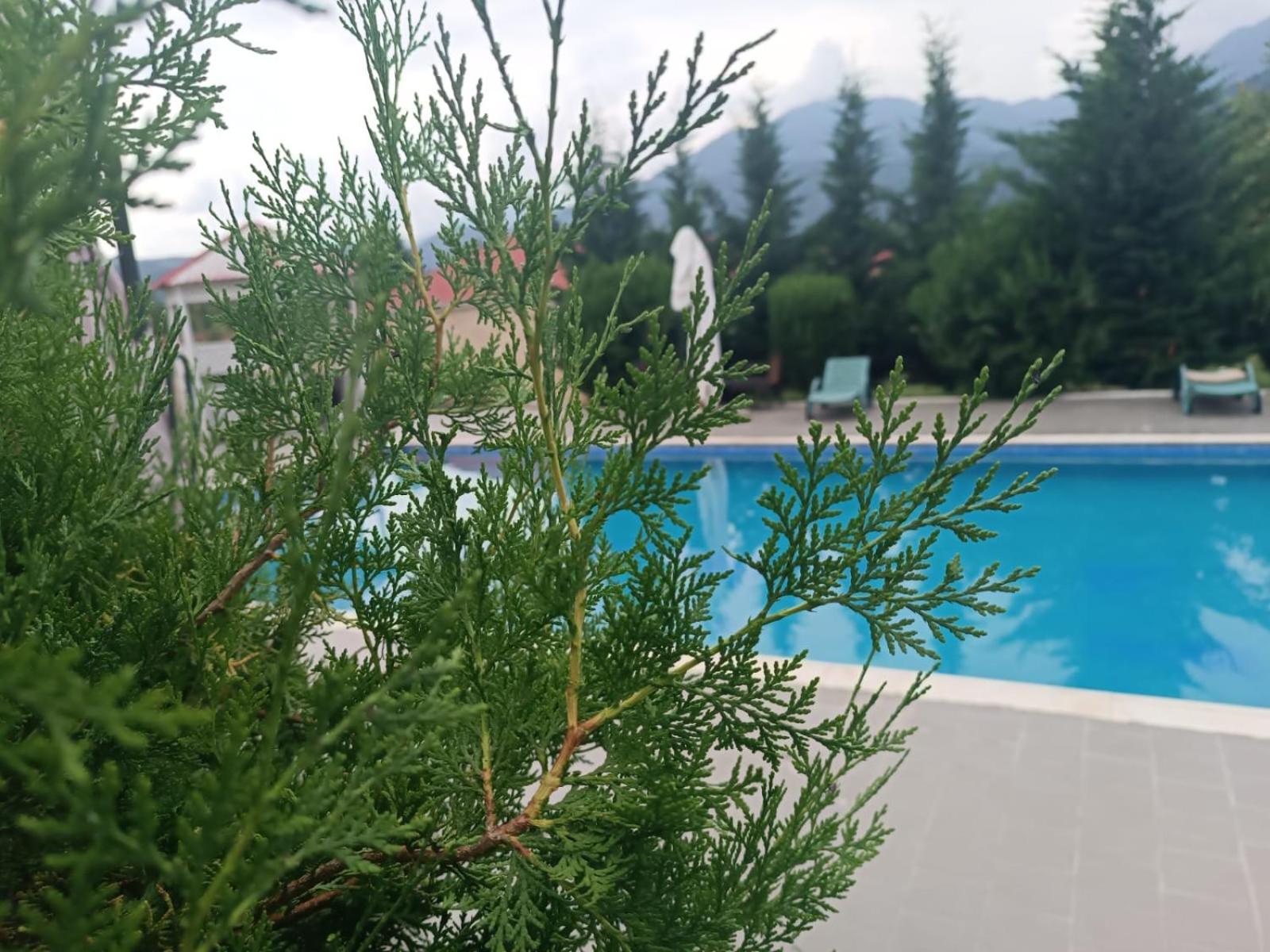 Gabala Bliss Inn Hotel And Restaurant المظهر الخارجي الصورة