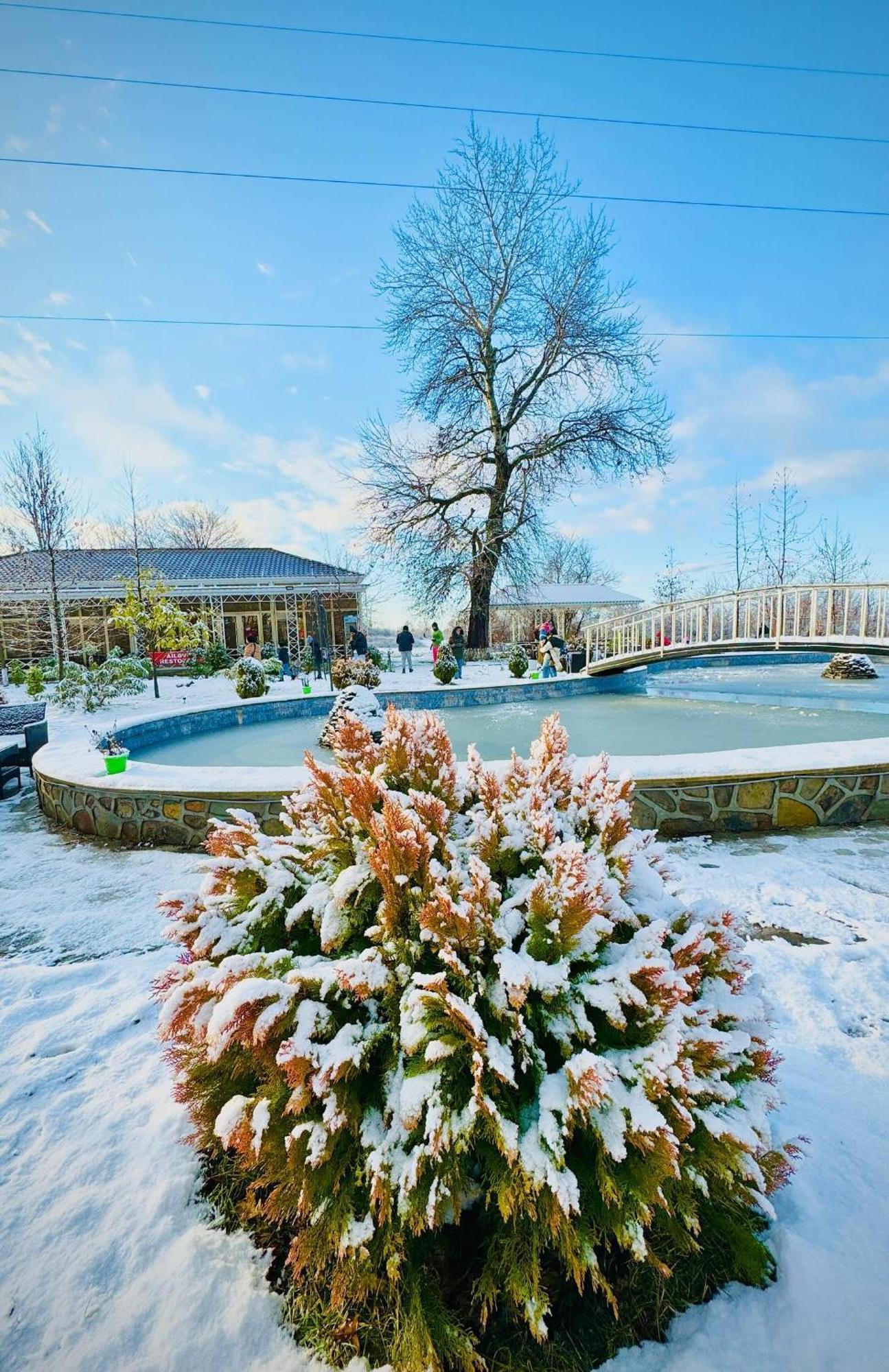 Gabala Bliss Inn Hotel And Restaurant المظهر الخارجي الصورة